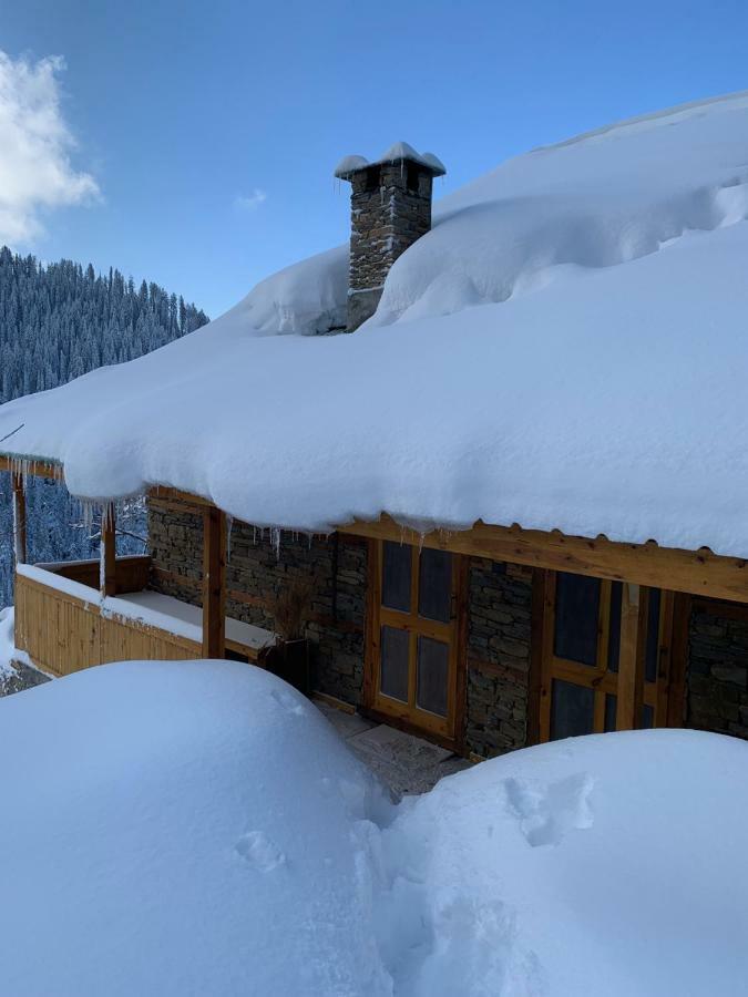 Skyline Villa Rental Narkanda Zewnętrze zdjęcie