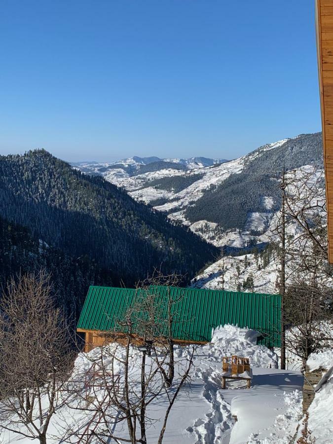 Skyline Villa Rental Narkanda Zewnętrze zdjęcie